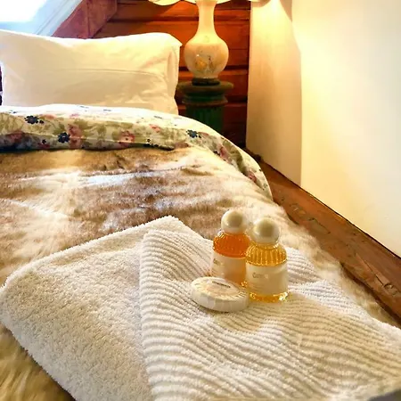 Bed & Breakfast Gjedsjo Gaard 4*